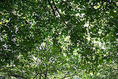 爆料显示玩家明天终于又可以看到《腐烂国度3》了