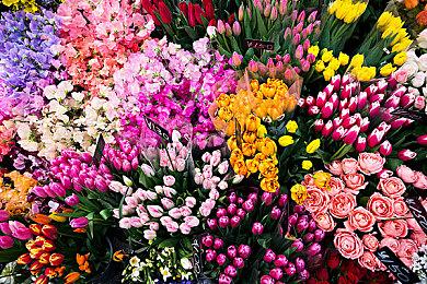 《勇者斗恶龙10离线版》原创剧情 复活咒文依然有奇效