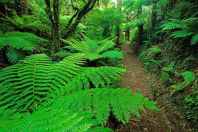 《使命召唤：战区》盗号者因安保措施升级无号可卖